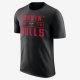 Chicago Bulls Nike Dry | Black