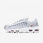 Nike Air Max Tailwind IV | Pure Platinum / Light Redwood / White / Metallic Silver