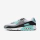 Nike Air Max 90 | White / Light Smoke Grey / Black / Particle Grey