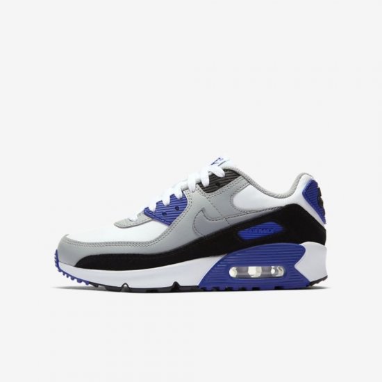 Nike Air Max 90 LTR | White / Light Smoke Grey / Hyper Royal / Particle Grey - Click Image to Close