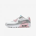 Nike Air Max 90 LTR | Light Smoke Grey / White / Pink / Metallic Silver